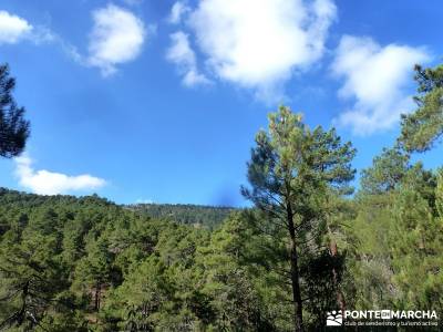 Jarosa - Agua y Bosque Plateado; fin de semana senderismo; viajes organizados; senderistas